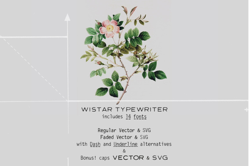 wistar-typewriter-svg-font-family