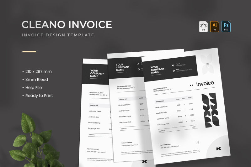 cleano-invoice