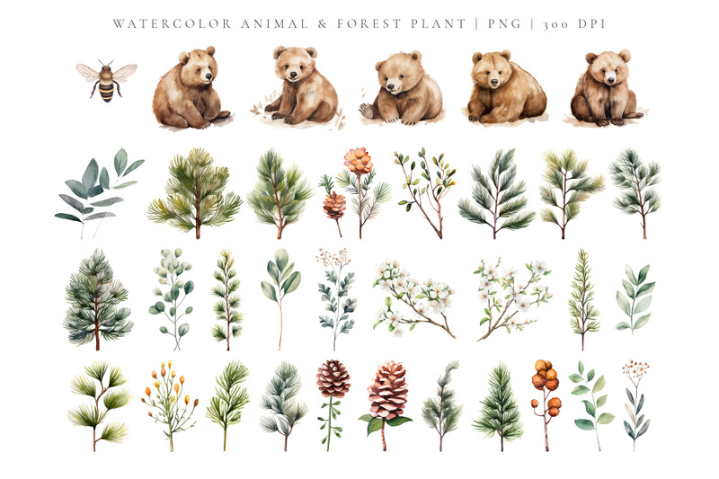 watercolor-bears-in-the-forest-collection