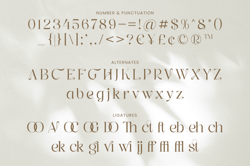 graphire-modern-elegant-serif