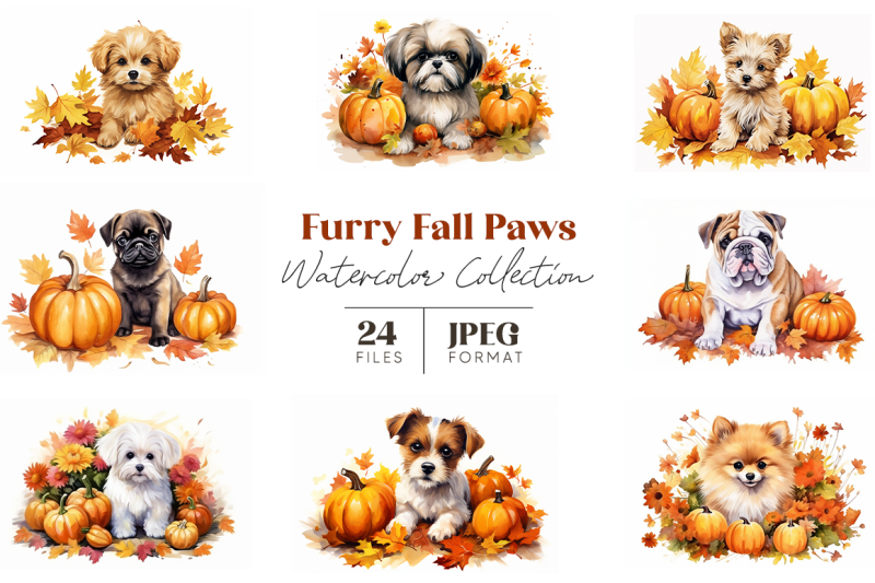 furry-fall-paws