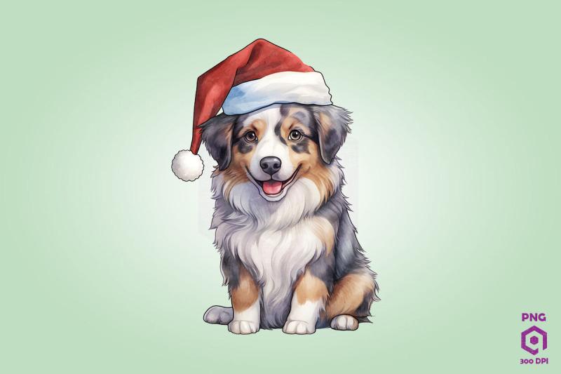 australian-shepherd-dog-in-santa-hat