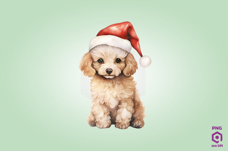 poodle-dog-in-santa-hat