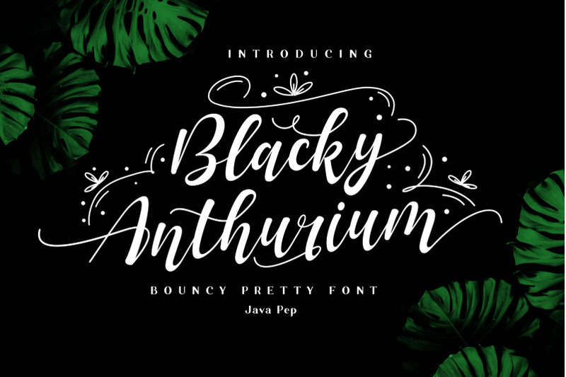 blacky-anthurium-bouncy-pretty-font