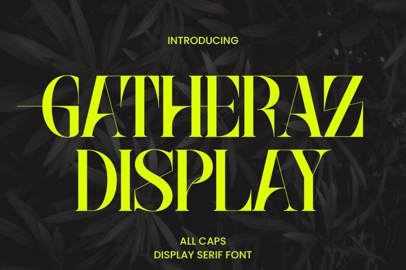 gatheraz-display-serif