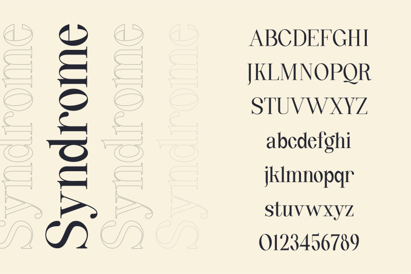 quinty-a-luxury-serif-font-family