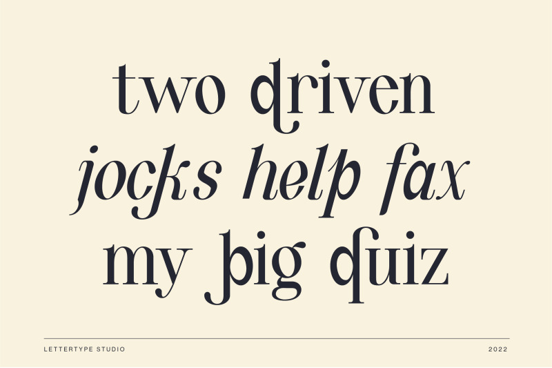 quinty-a-luxury-serif-font-family