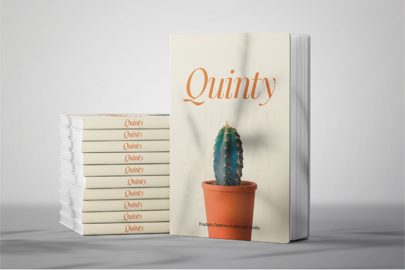 quinty-a-luxury-serif-font-family