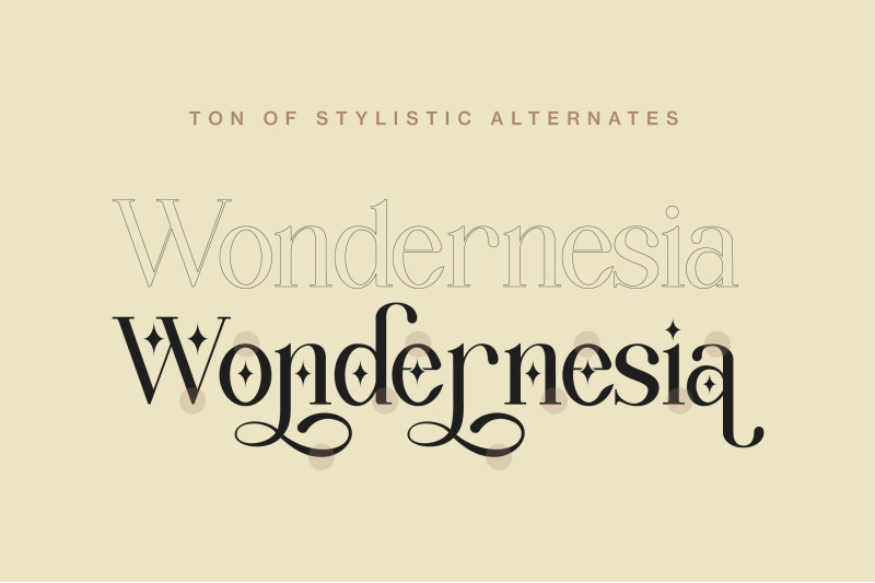 wondernesia-nostalgic-amp-modern-serif