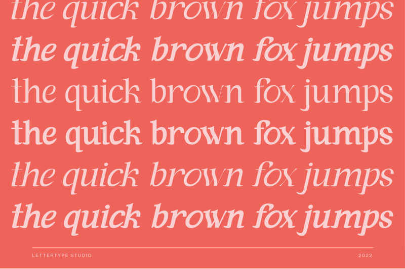 andaman-an-experimental-serif-font