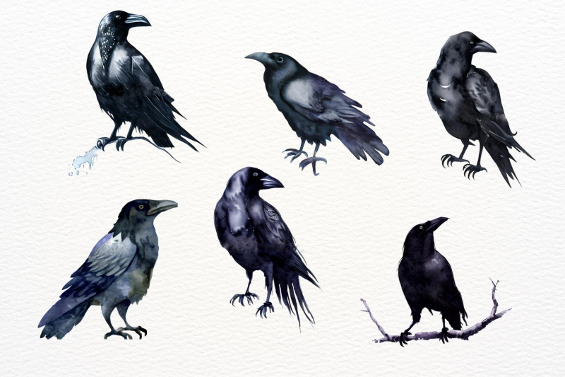 black-raven-clipart-black-bird-crow
