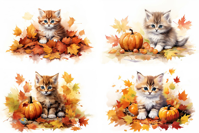 autumn-kitten