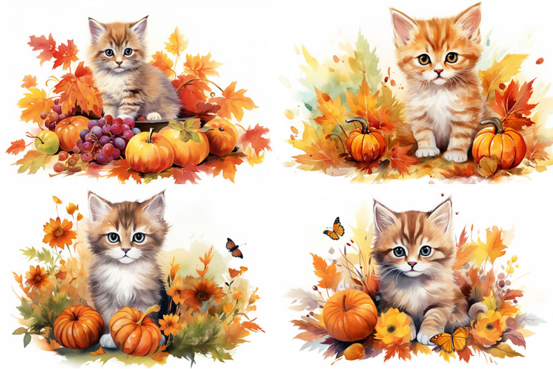 autumn-kitten