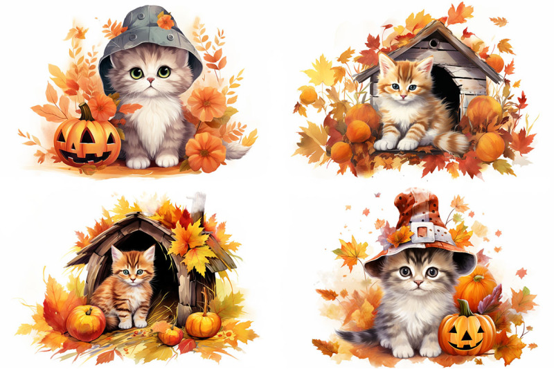 autumn-kitten