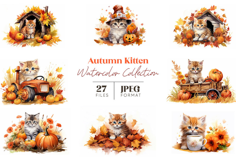 autumn-kitten