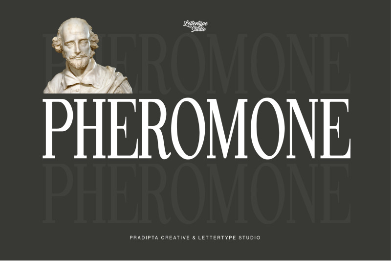 pheromone-modern-classic-serif