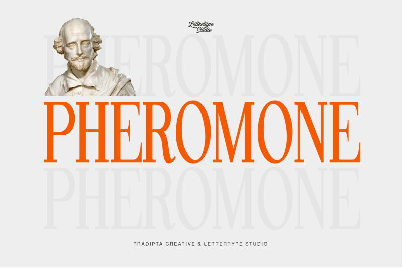 pheromone-modern-classic-serif