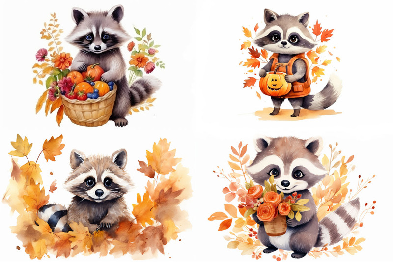 autumn-raccoon