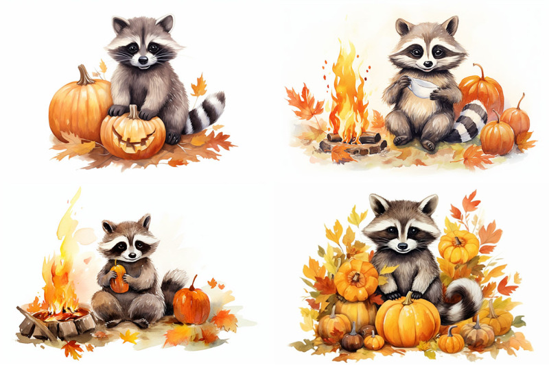 autumn-raccoon