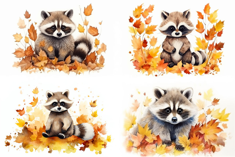 autumn-raccoon