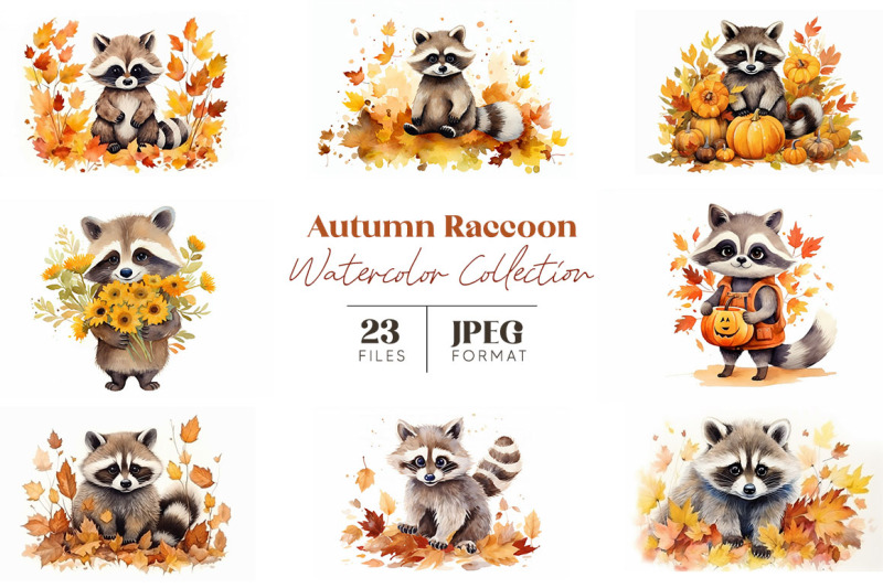 autumn-raccoon