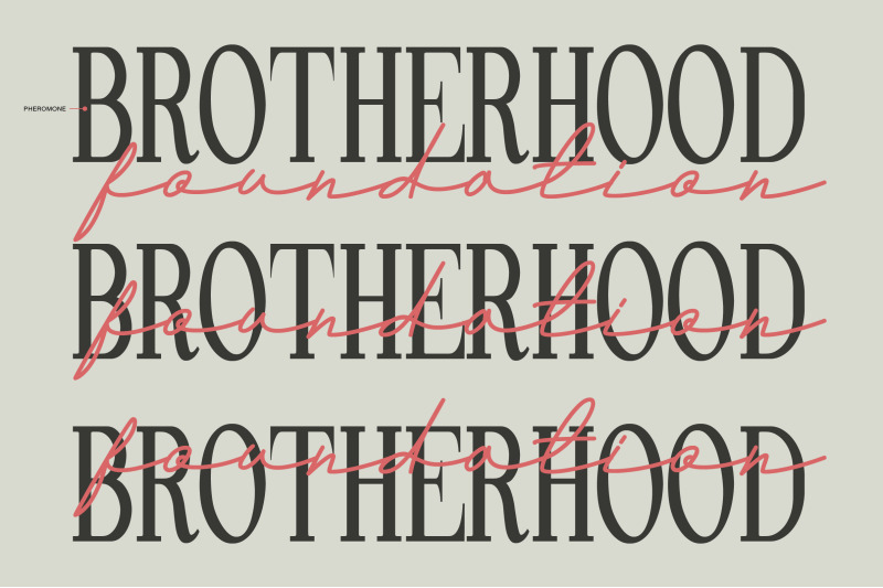 andalusia-a-beautiful-script-font