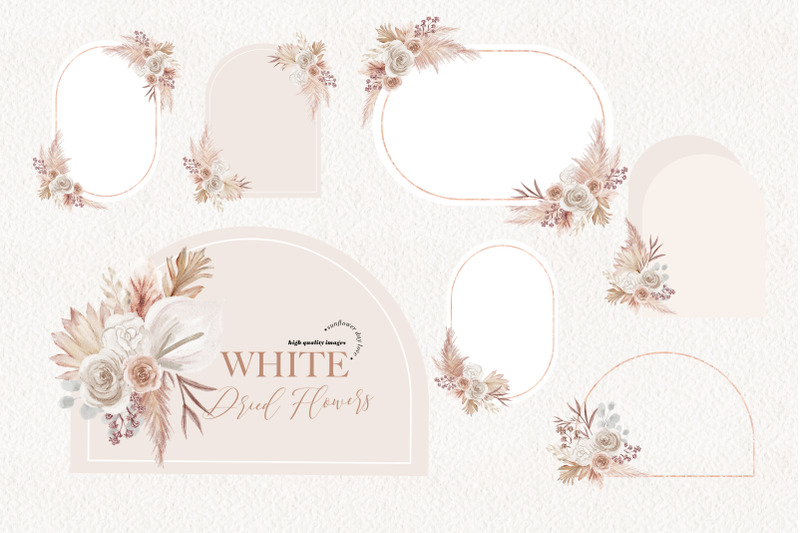 ivory-white-boho-dried-floral-pampas-grass-clipart