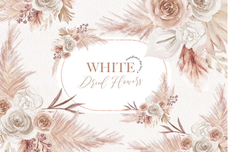 ivory-white-boho-dried-floral-pampas-grass-clipart