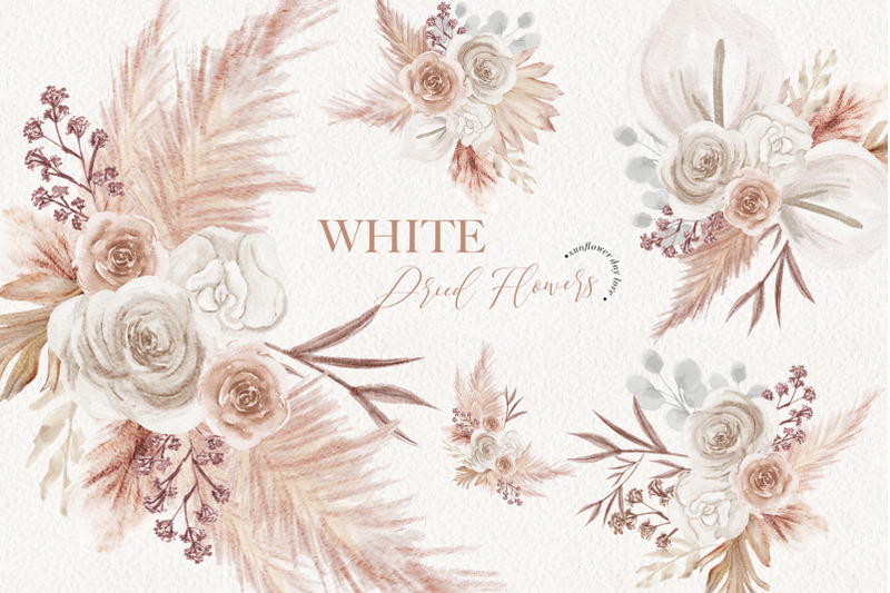 ivory-white-boho-dried-floral-pampas-grass-clipart