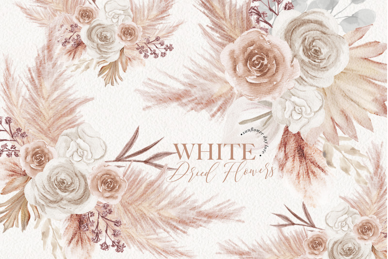 ivory-white-boho-dried-floral-pampas-grass-clipart