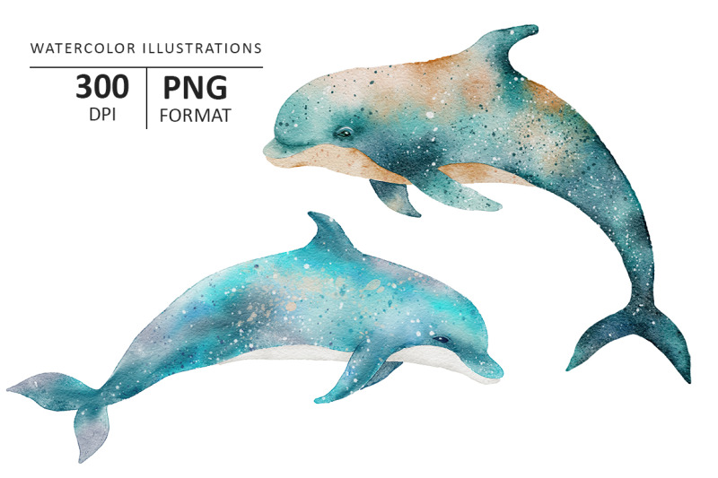 dolphin-watercolor-illustration