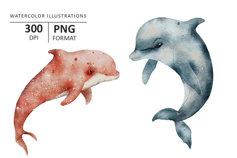 dolphin-watercolor-illustration