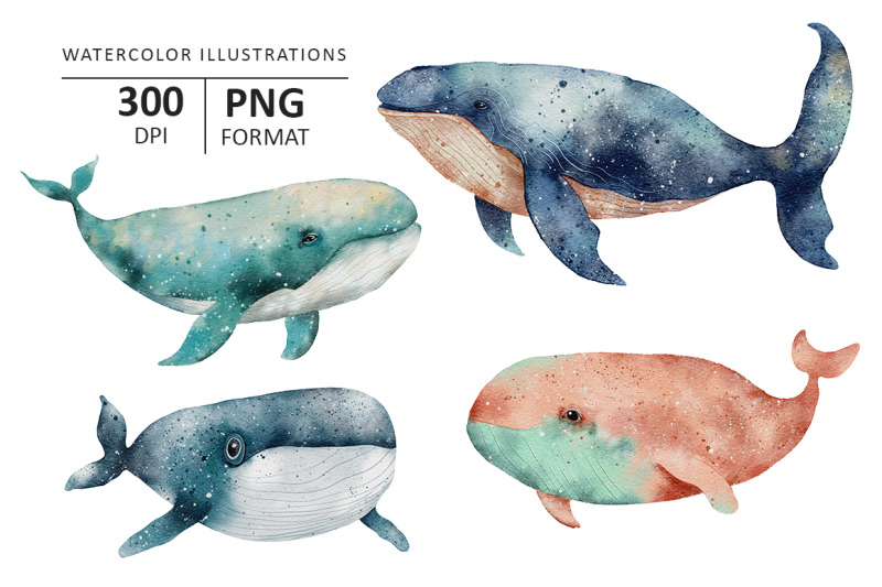 whale-watercolor-illustration