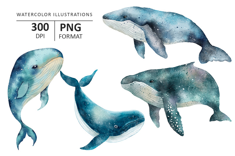 whale-watercolor-illustration