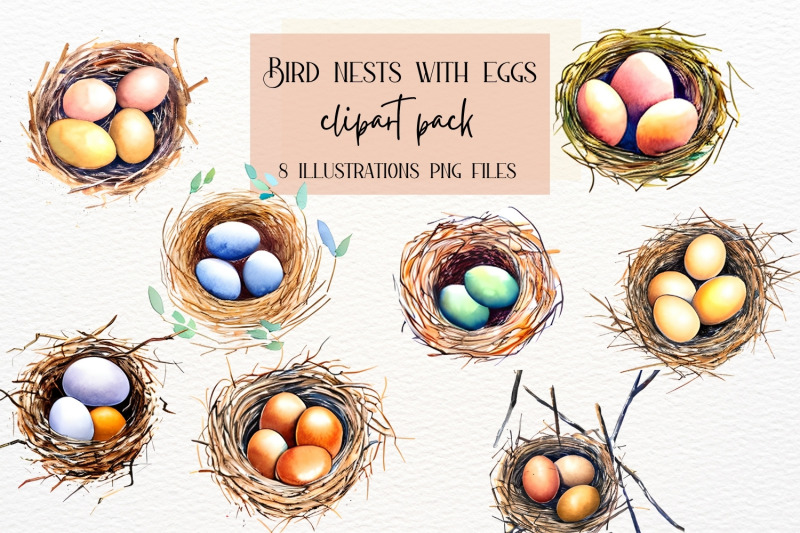 bird-nest-with-eggs-collection