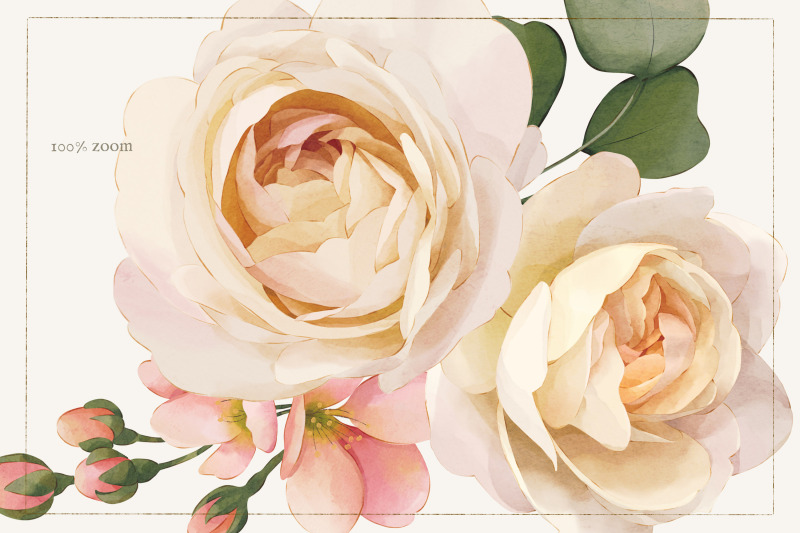 vintage-rose-watercolor-floral-collection