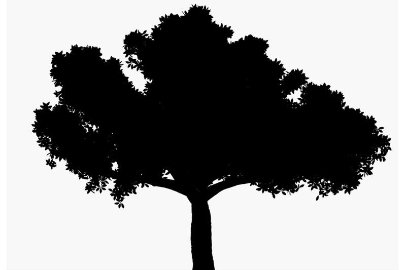 tree-clipart-silhouette-botanic-design-element-pack