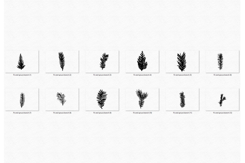 fir-and-spruce-branch-silhouette-art