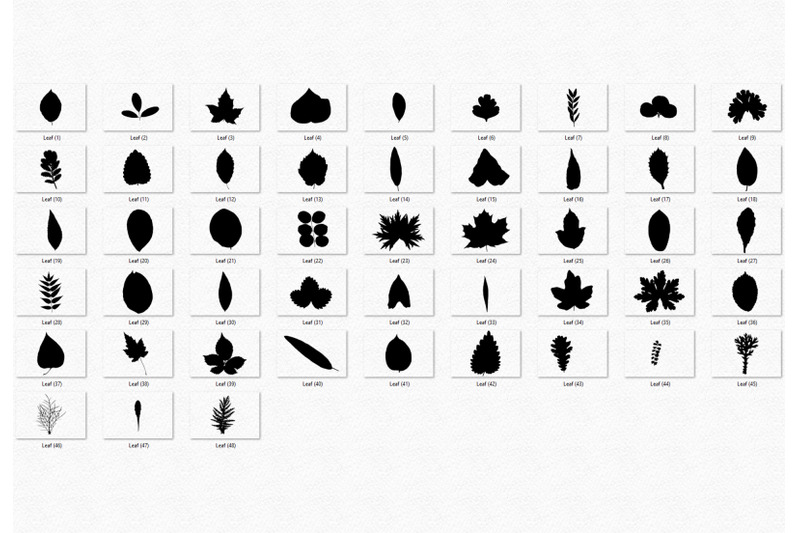 leaf-clipart-silhouette-organic-forest-leaves-pack