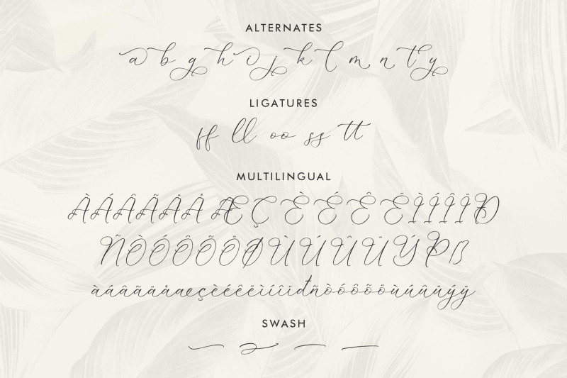 kelarhisa-sokrate-beauty-script-font