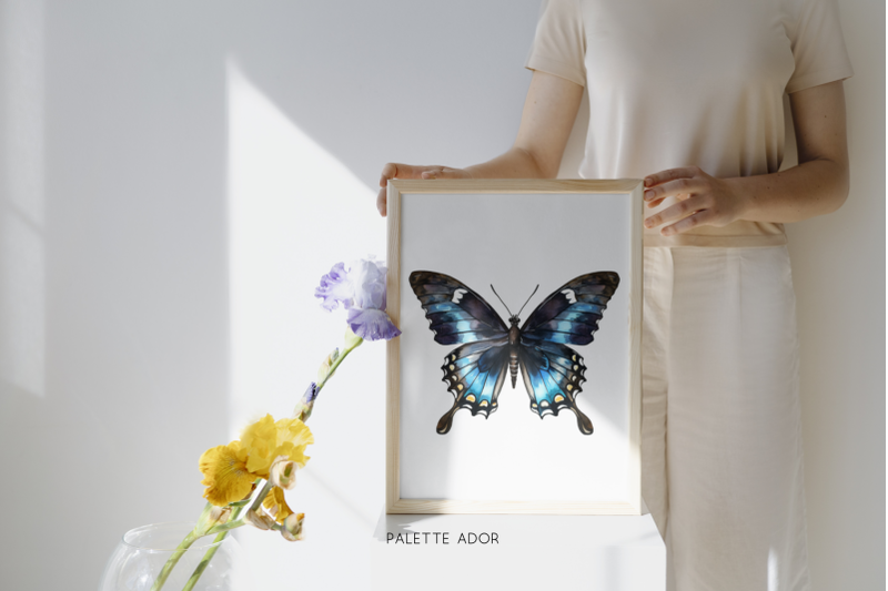 watercolor-black-butterflies