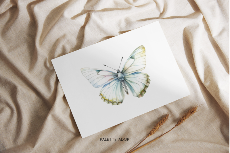 watercolor-white-butterflies