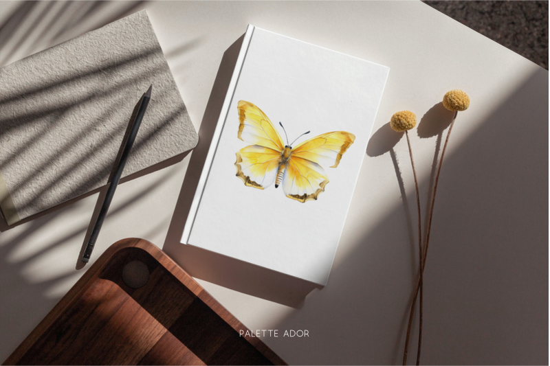 watercolor-yellow-butterflies