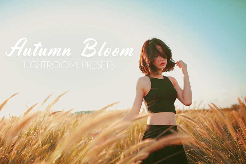 autumn-bloom-lightroom-presets