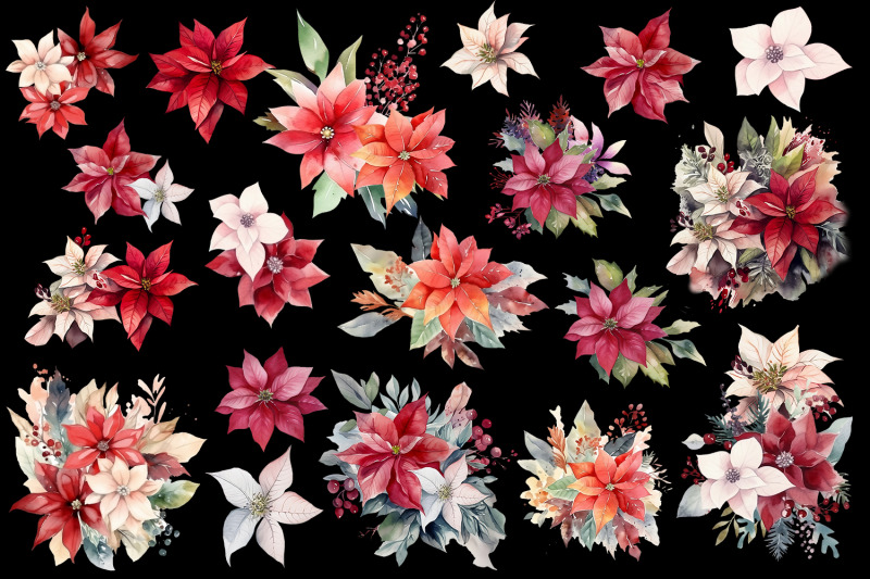 watercolor-christmas-flowers-clipart