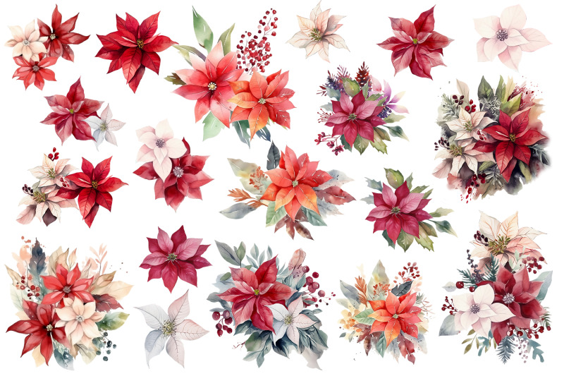 watercolor-christmas-flowers-clipart