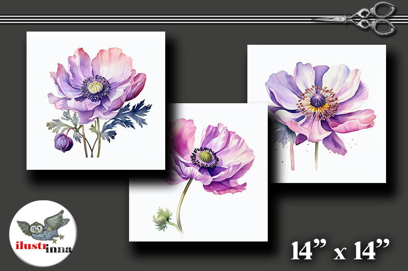 watercolor-anemones-illustrations