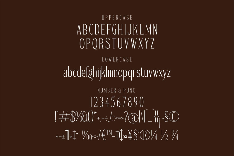 gadnesh-meteora-typeface