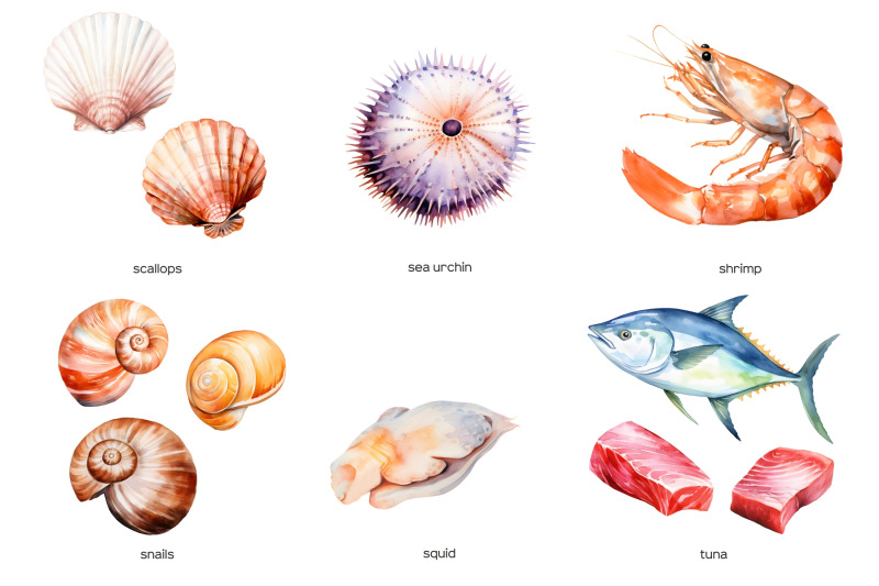 watercolor-seafood-clipart-sea-product-clip-art-23-png