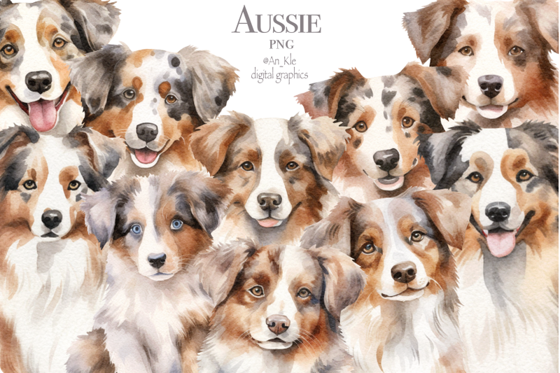 aussie-dogs-clipart